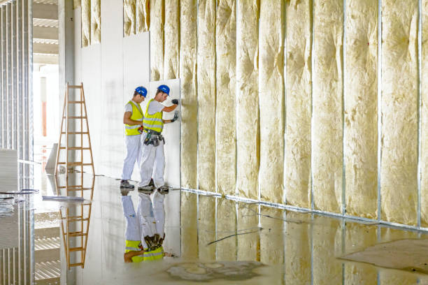 Best Insulation for New Construction  in Bonanza, GA
